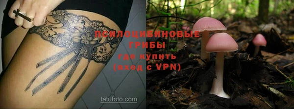 ALPHA-PVP Нягань