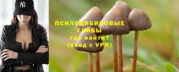 трава Нязепетровск
