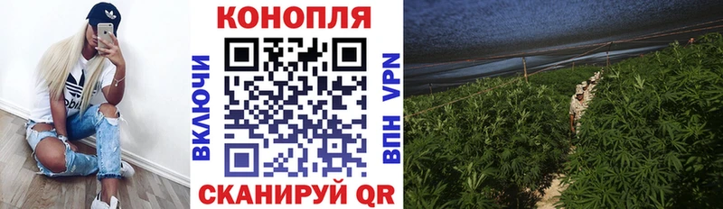 Марихуана план Никольское